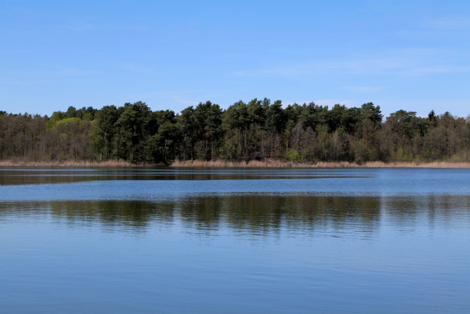 Lebersee 2021-05-09 14