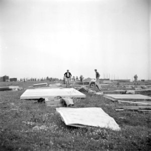 Leden van de bouwploeg van moederkibboets Yavne monteren barakken uit geprefabri, Bestanddeelnr 255-0694