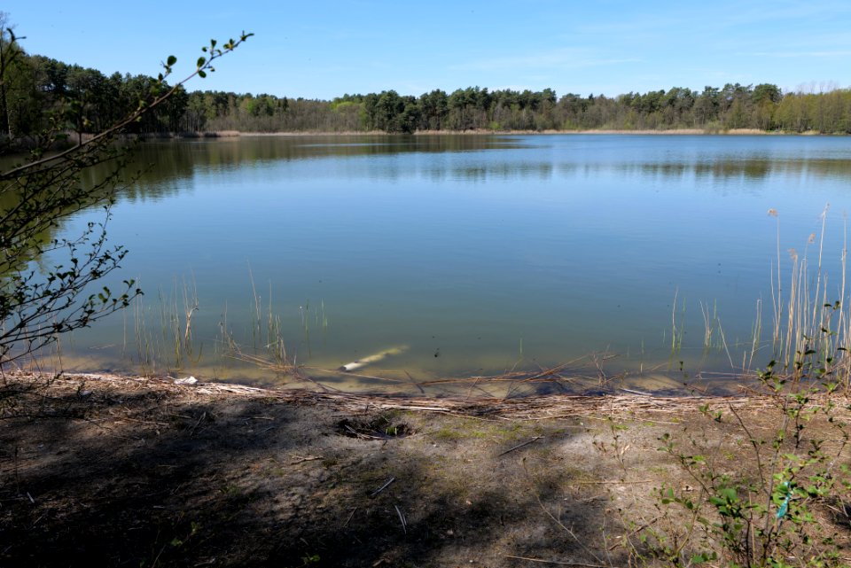 Lebersee 2021-05-09 01