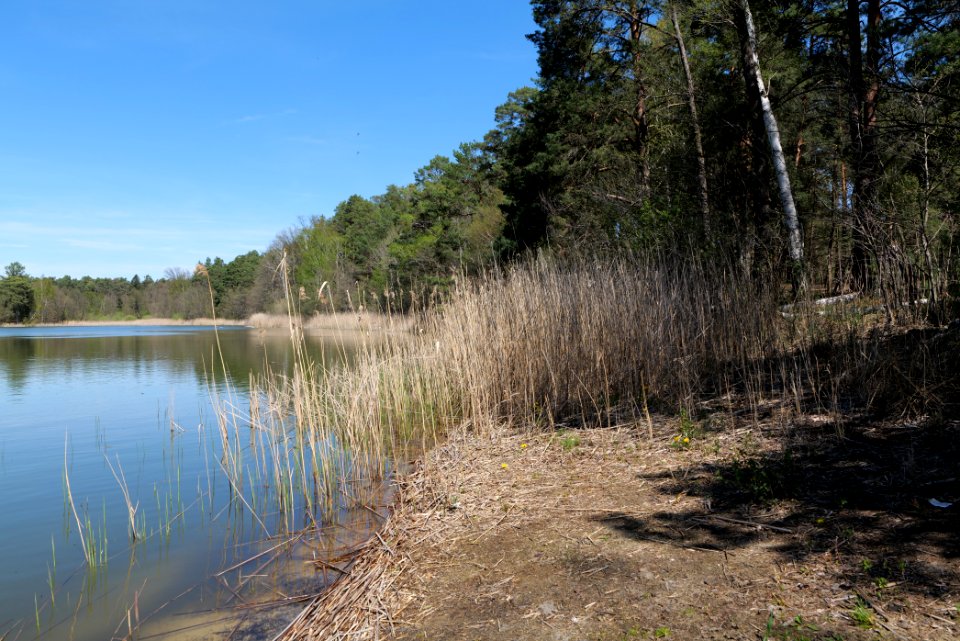 Lebersee 2021-05-09 11