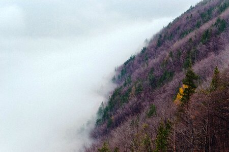 Mountain fog outdoor photo