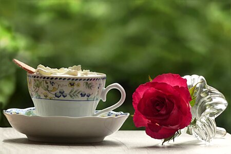 Enjoy rose beauty