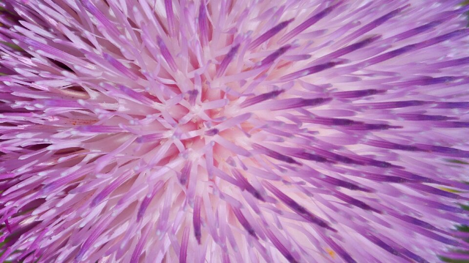 Design macro pattern