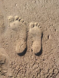 Texture foot sea photo