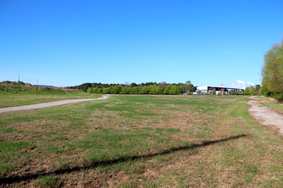 Leake Mounds site 2015