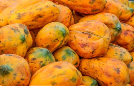 Lechozas