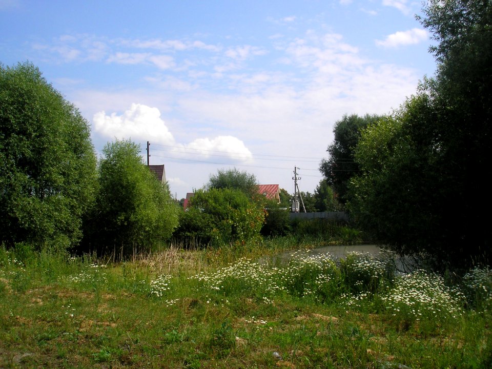 Lechitshevo 2