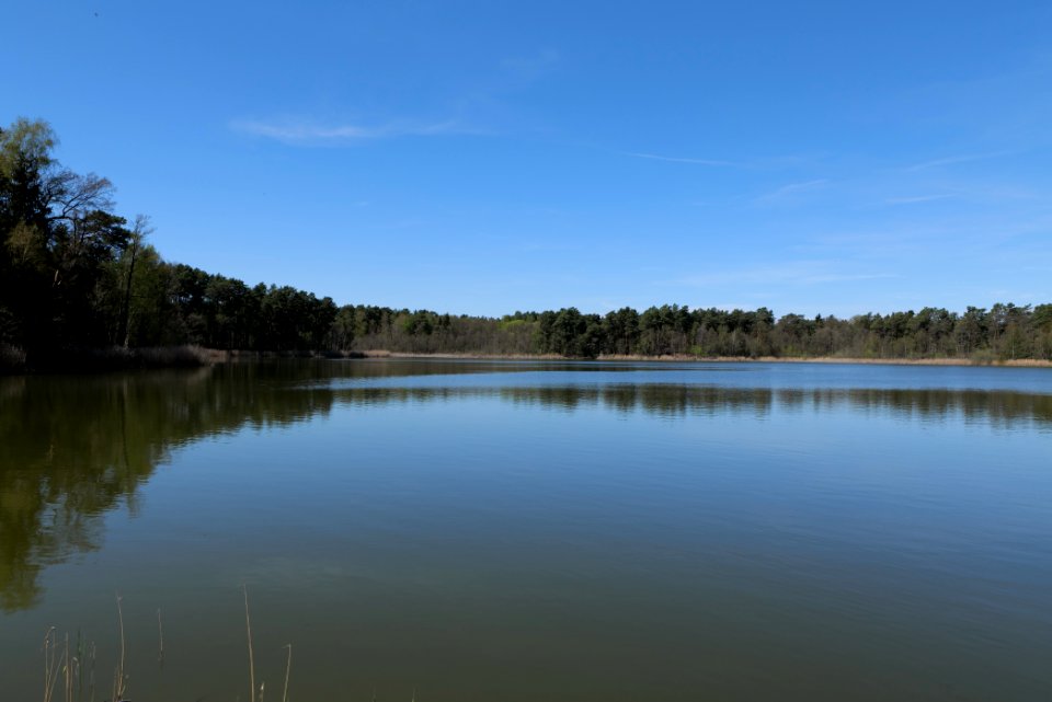 Lebersee 2021-05-09 19