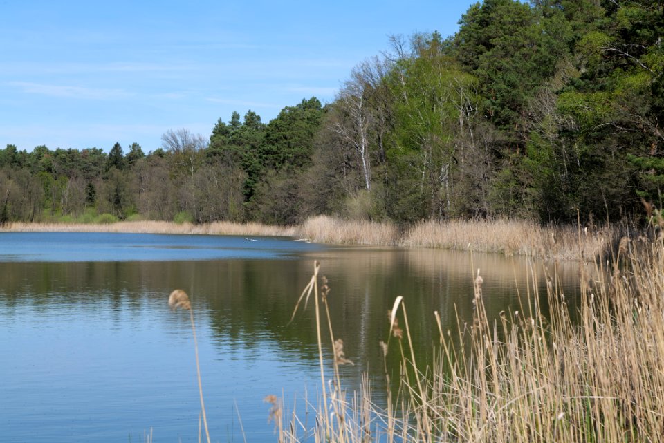 Lebersee 2021-05-09 18
