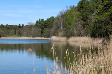 Lebersee 2021-05-09 18