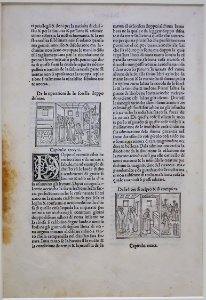 Leaf from Saint Jerome, Vita epistole de santo hieronymo vulgare, Italy, 1497, woodcut on laid paper - Fogg Museum - Harvard University - DSC01713
