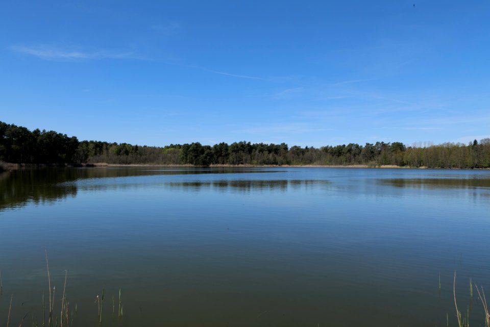 Lebersee 2021-05-09 07