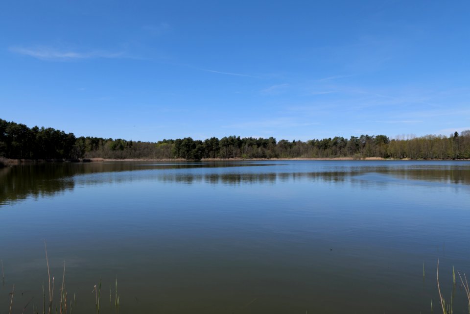 Lebersee 2021-05-09 05