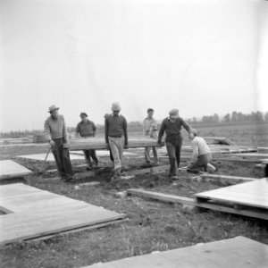 Leden van de bouwploeg van moederkibboets Yavne monteren barakken uit geprefabri, Bestanddeelnr 255-0691