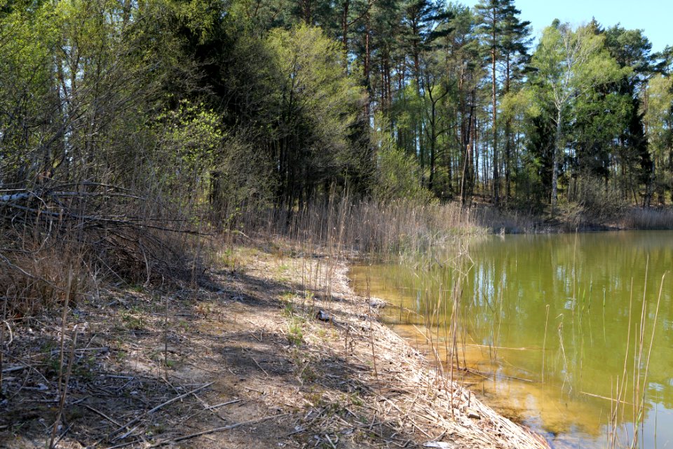 Lebersee 2021-05-09 10
