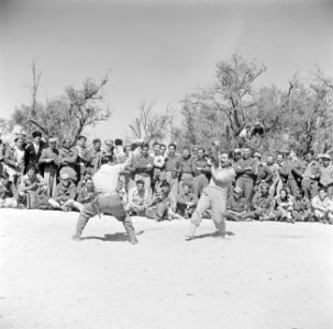 Leden van een eenheid Druzen uit het Israelische leger bij het zwaardvechten., Bestanddeelnr 255-0969