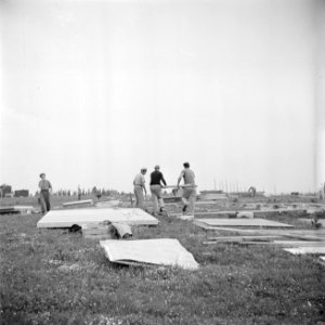 Leden van de bouwploeg van moederkibboets Yavne monteren barakken uit geprefabri, Bestanddeelnr 255-0693