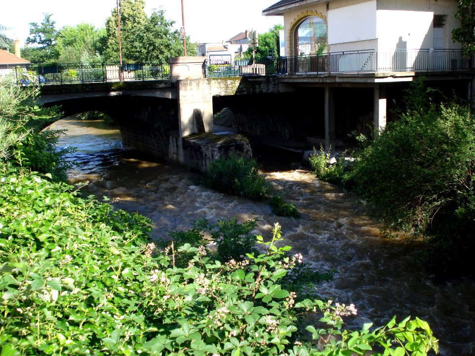 Le Renaison à Roanne (Loire, Fr), un pont