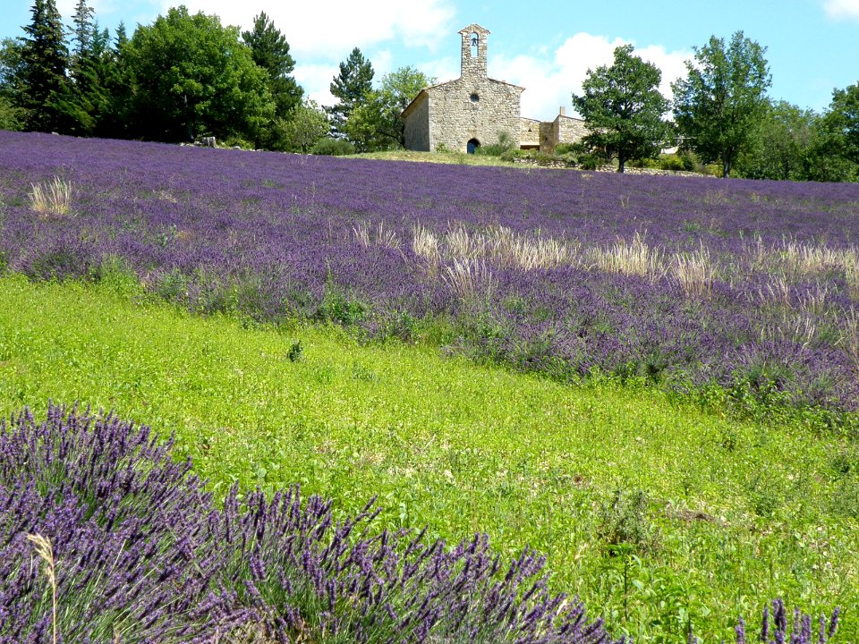 Le Poët-Sigillat Notre-Dame de Beaulieu 1