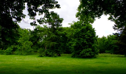 Le parc de Bagatelle