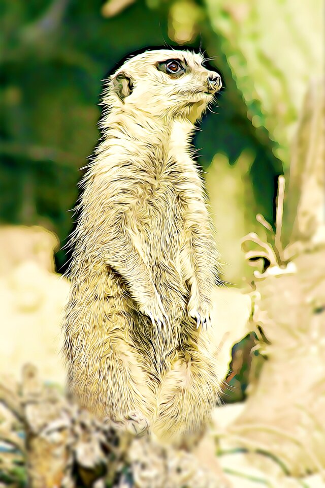 Is watching nature watch