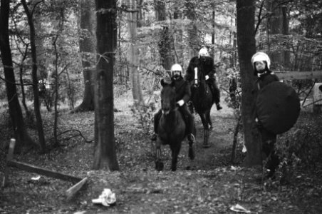Leden van de Mobiele eenheid in het bos, Bestanddeelnr 932-3338
