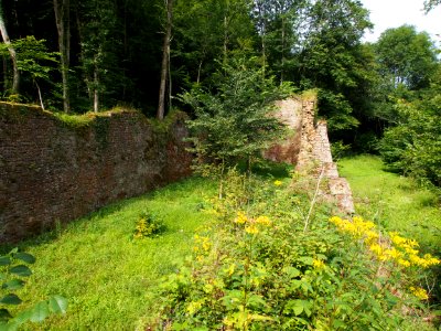 Le haut-fourneau du Dorlon pic-009