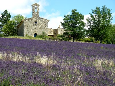 Le Poët-Sigillat Notre-Dame de Beaulieu 5