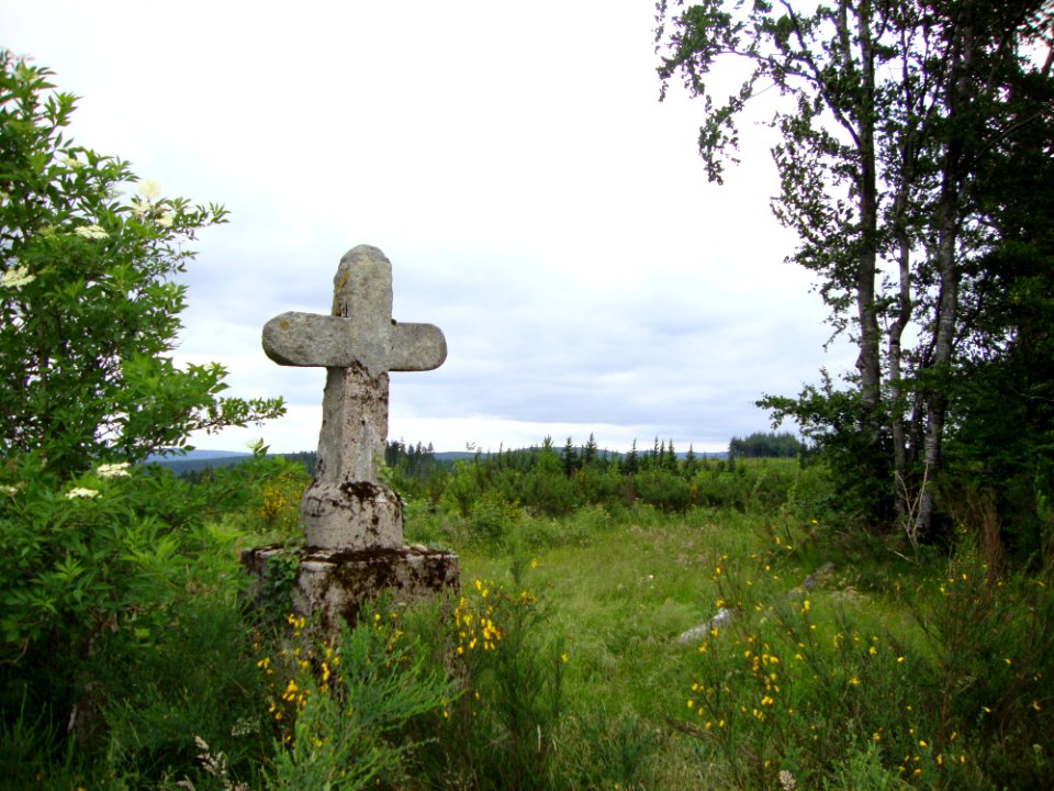 Le Rialet (Tarn, Fr) une croix en forêt