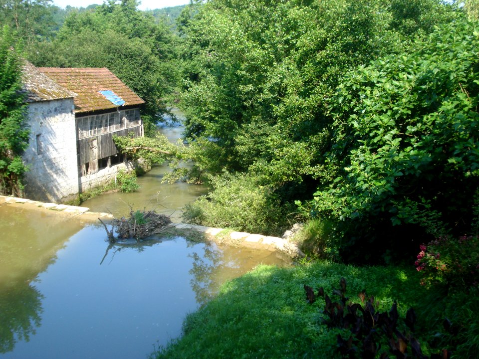 Le Laá à Sainte-Suzanne near Orthez (Pyr-Atl, Fr)