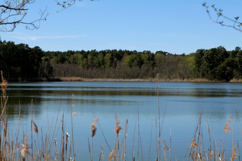 Lebersee 2021-05-09 24