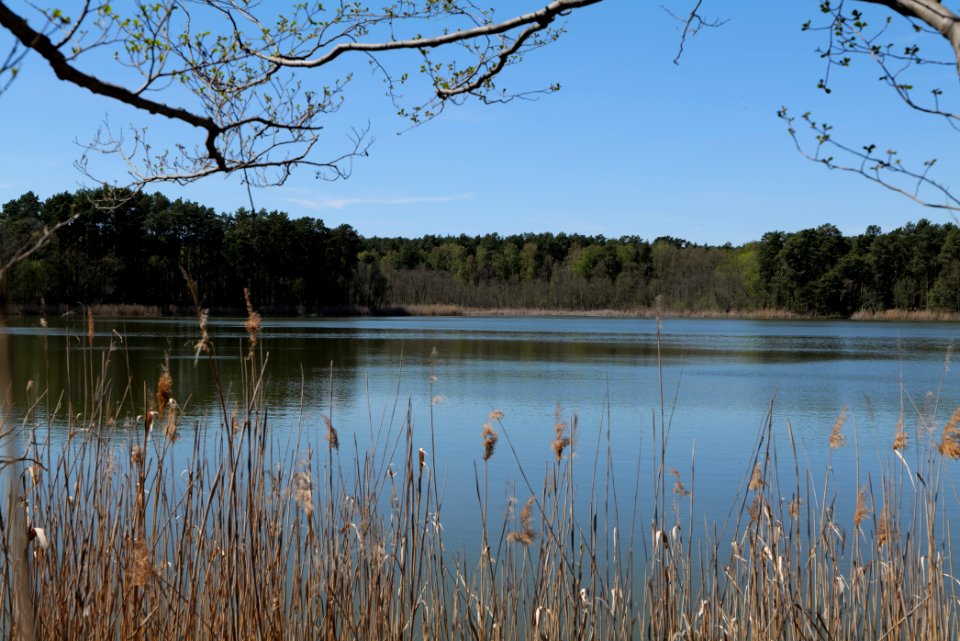 Lebersee 2021-05-09 26