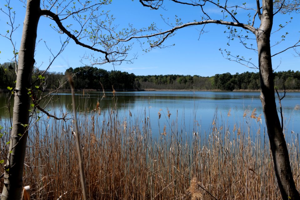 Lebersee 2021-05-09 25