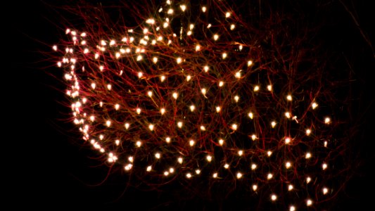 LED light net in bush photo