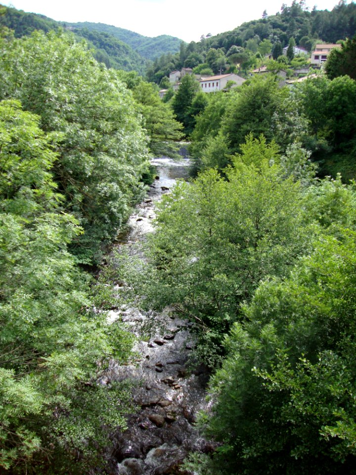Le Moulinon (St.Sauveur-de-Montagut, Ardèche, Fr) l'Auzène (vers l'amont)