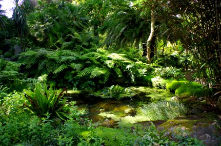 Le jardin Delaselle - Ile de Batz 2