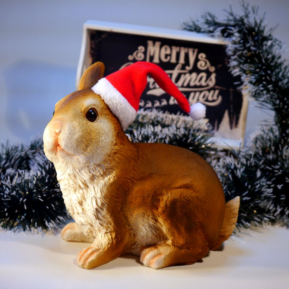 Christmas hare rabbit