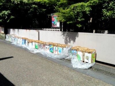 Lanterns in Sagano, Kyoto - DSC06295