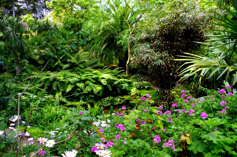 Le jardin Delaselle - Ile de Batz