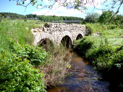Le Chambon-sur-Lignon (Haute-Loire, Fr) branche du Cholet à Le Genest