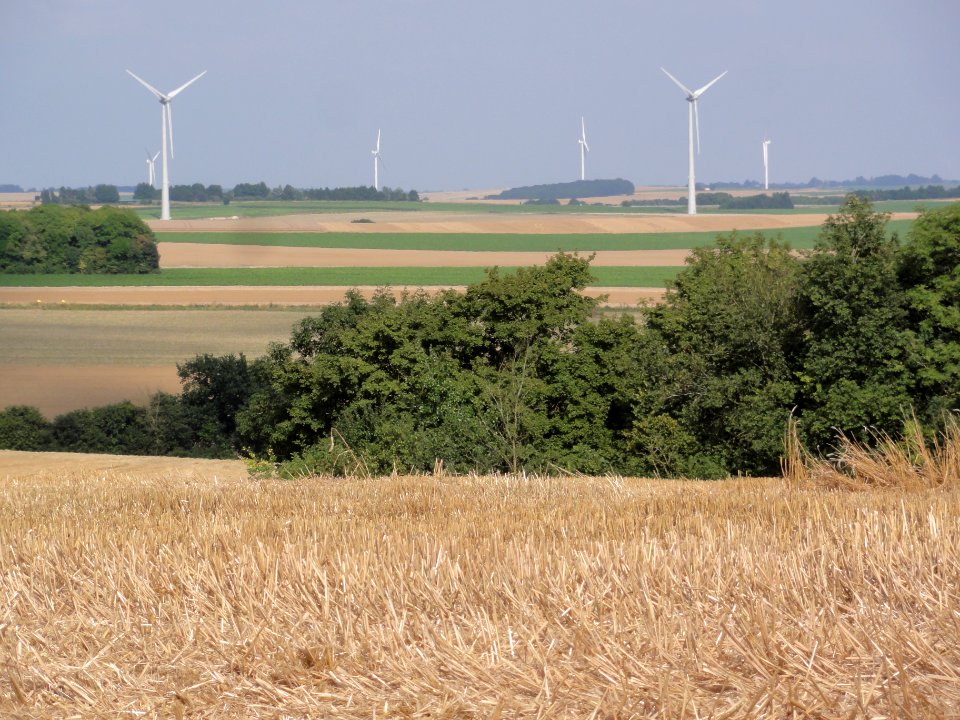 Le Verguier (Aisne) paysage avec éoliennes