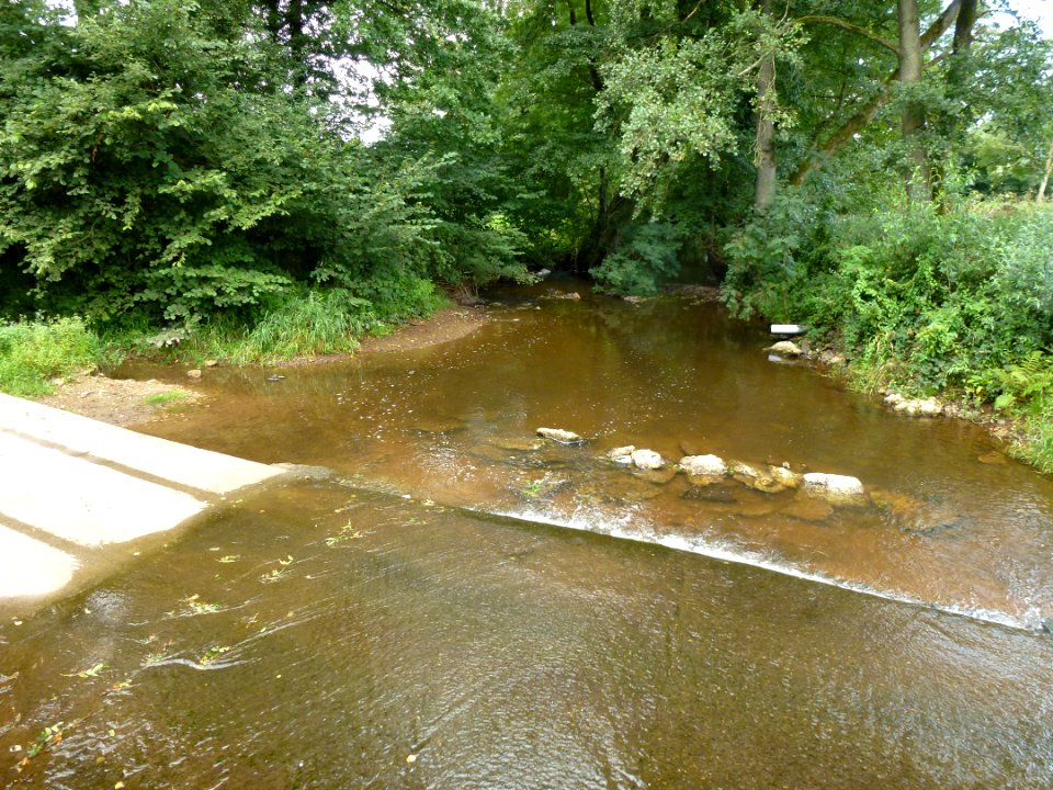 Le Gland au hameau Les Logettes (limite dps Aisne-Ardennes)