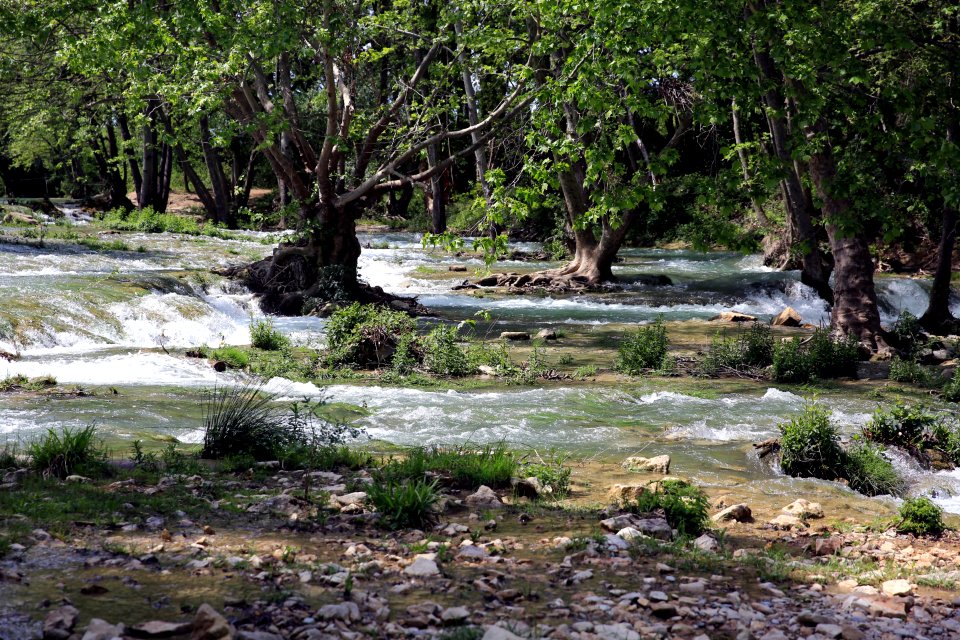 Le fleuve côtier Lez à Lavalette