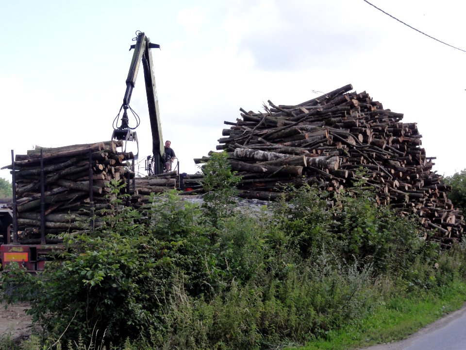 Le Favril (Nord, Fr) travail de bois