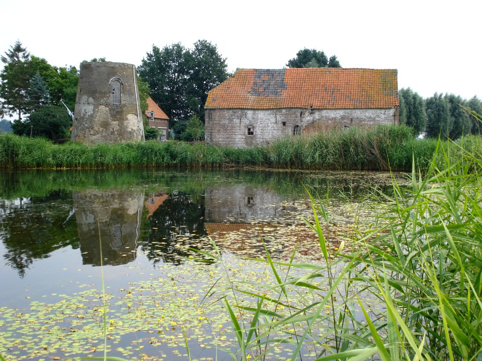 Le moulin de Kilsdonk, moulin à vent doublé d'un moulin d'eau, à restaurer