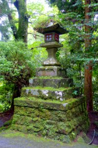 Lantern - Hakone-jinja - Hakone, Japan - DSC05876