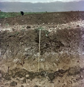 Landschappen, woeste gronden, Bestanddeelnr 250-8296