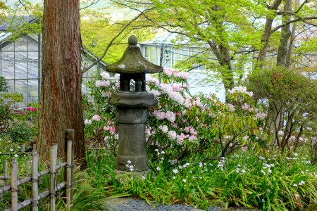 Lantern - Hakuun-do Chaen Tearooms - Gora Park - Hakone, Kanagawa, Japan DSC08470