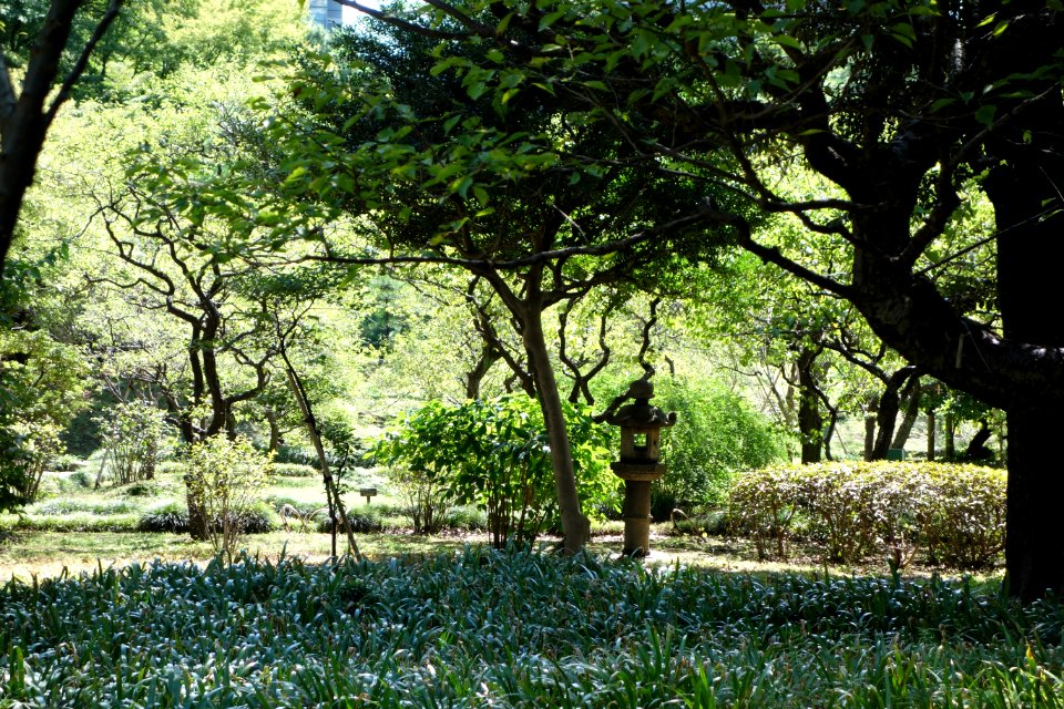 Lantern - Koishikawa Korakuen - DSC09245