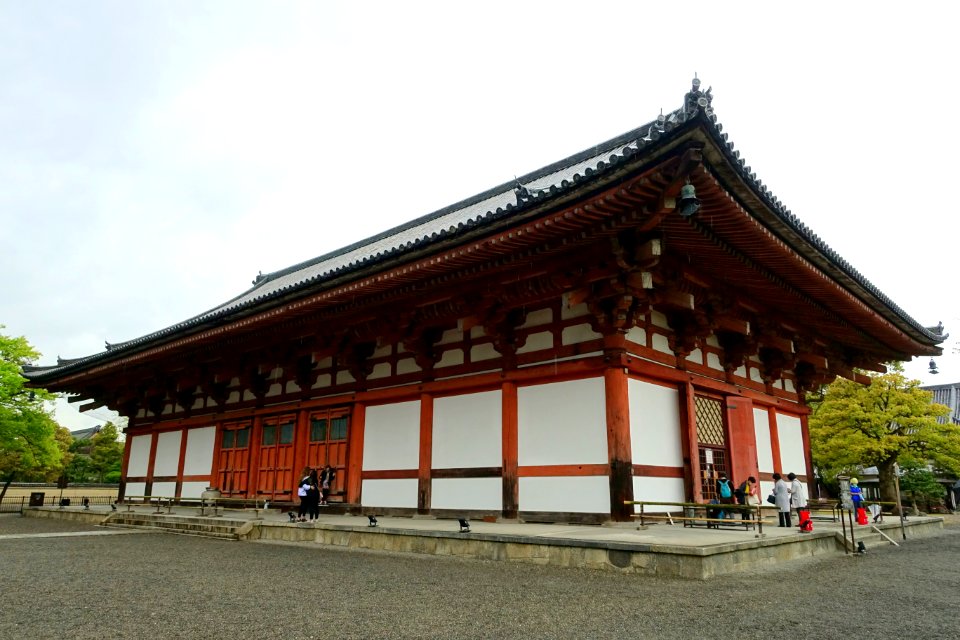 Lecture Hall - Toji - Kyoto, Japan - DSC07057